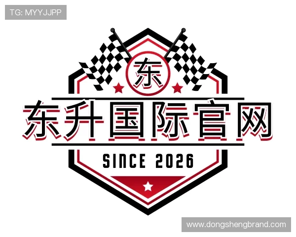 认识东升国际官网